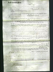 Court of Common Pleas - Mary Anne Johnson-Original Ancestry