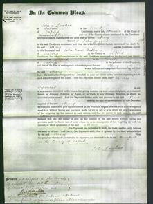 Court of Common Pleas - Mary Juggins-Original Ancestry