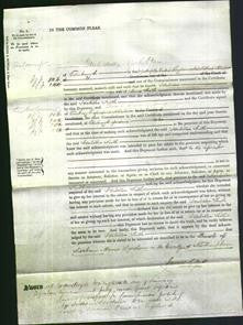 Court of Common Pleas - Isabella Smith-Original Ancestry