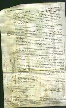 Court of Common Pleas - Elizabeth Nicholson-Original Ancestry