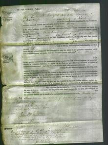 Court of Common Pleas - Lucy Spence-Original Ancestry