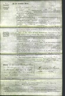 Court of Common Pleas - Susannah Hale-Original Ancestry