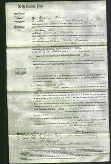 Court of Common Pleas - Jane Reynolds-Original Ancestry