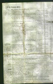 Court of Common Pleas - Elizabeth Blose Kenway and Martha Swinborn-Original Ancestry