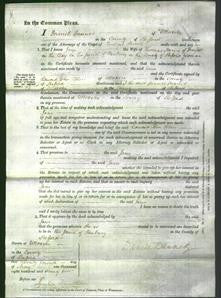 Court of Common Pleas - Jane Harvey-Original Ancestry