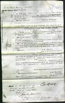 Court of Common Pleas - Amelia Pearson-Original Ancestry