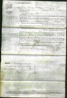 Court of Common Pleas - Eleanor Sophia Holmer-Original Ancestry