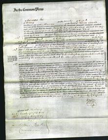 Court of Common Pleas - Mary Long, Sarah Burgess and Anne Druce-Original Ancestry