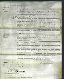 Court of Common Pleas - Fanny Pooley-Original Ancestry