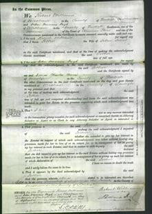 Court of Common Pleas - Esther Jones-Original Ancestry