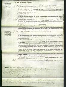 Court of Common Pleas - Mary Ann Faulkner-Original Ancestry