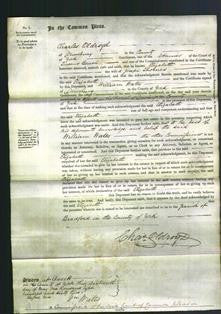 Court of Common Pleas - Elizabeth Thornes-Original Ancestry
