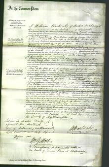 Court of Common Pleas - Emily Ann Dodson and Mary Ellen Fry-Original Ancestry