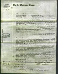 Court of Common Pleas - Anne Nicholson-Original Ancestry