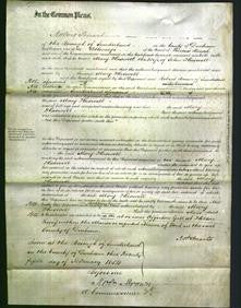 Court of Common Pleas - Mary Haswell-Original Ancestry