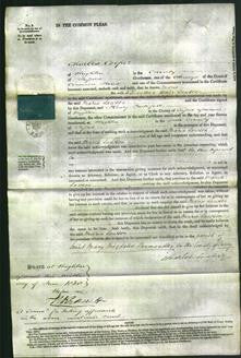 Court of Common Pleas - Maria Lawson-Original Ancestry