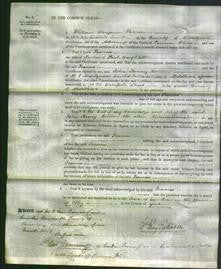 Court of Common Pleas - Frances Amphlett-Original Ancestry