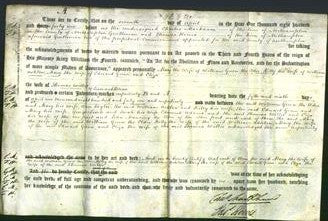 Deed by Married Women - Mary Green, Kitty Ashton, Mary Green and Eliza Willis-Original Ancestry