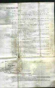 Court of Common Pleas - Alice Baden-Original Ancestry