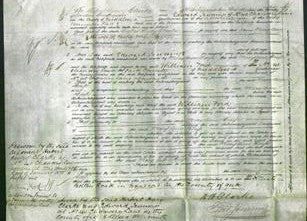 Court of Common Pleas - Mary Ann Houfe-Original Ancestry