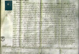 Court of Common Pleas - Hannah Twiley-Original Ancestry