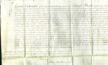 Court of Common Pleas - Elizabeth Miles and Jane Taylor Swindells-Original Ancestry