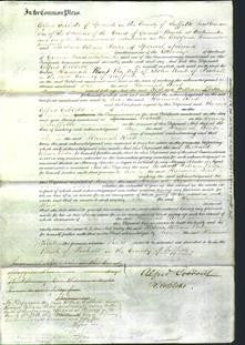 Court of Common Pleas - Hannah Rout-Original Ancestry