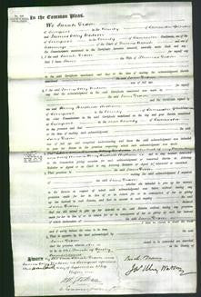 Court of Common Pleas - Jane Dixon-Original Ancestry