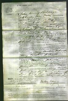 Court of Common Pleas - Mary Caroline Halswell-Original Ancestry