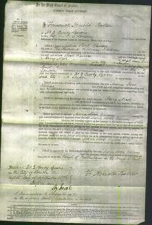 Court of Common Pleas - Maria Stock Wallace-Original Ancestry