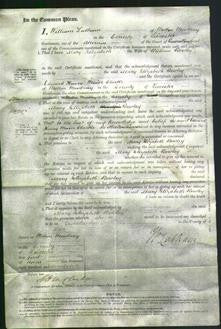 Court of Common Pleas - Mary Elizabeth Bowley-Original Ancestry