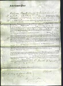 Court of Common Pleas - Harriot Freelove Davidson-Original Ancestry