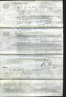 Court of Common Pleas - Sarah Graveson-Original Ancestry