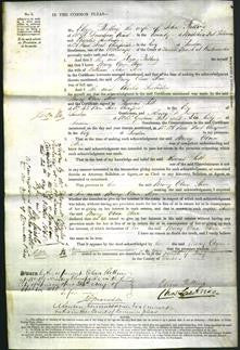 Court of Common Pleas - Mary Ann Steer-Original Ancestry