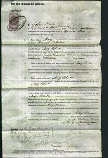 Court of Common Pleas - Mary Robinson-Original Ancestry