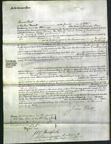 Court of Common Pleas - Jane Leader-Original Ancestry