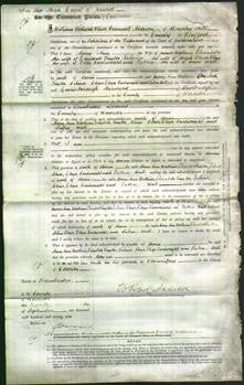 Court of Common Pleas - Mary Ann Watkins, Elizabeth Taylor, Selina Clews, Eliza Cartwright and Sabra Wall-Original Ancestry