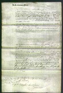 Court of Common Pleas - Louisa King-Original Ancestry