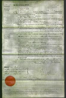 Court of Common Pleas - Eleanor Lowrey-Original Ancestry