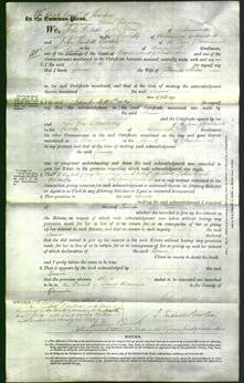 Court of Common Pleas - Louisa Miles-Original Ancestry