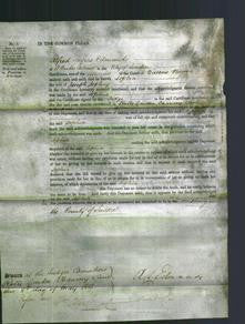 Court of Common Pleas - Sophia Jopling-Original Ancestry