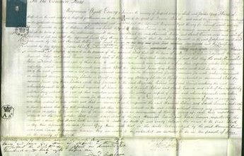 Court of Common Pleas - Hannah Robins and Sarah Turner-Original Ancestry