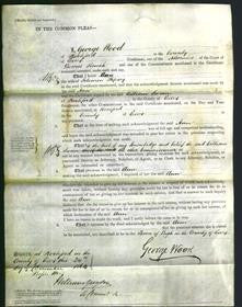 Court of Common Pleas - Ann Hipsey-Original Ancestry