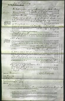 Court of Common Pleas - Martha Smith-Original Ancestry