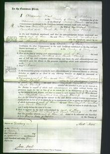 Court of Common Pleas - Ann Elizabeth Carrathers-Original Ancestry