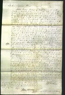 Court of Common Pleas - Mary Ann Lucas-Original Ancestry