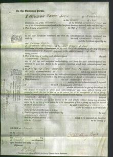 Court of Common Pleas - Susannah Killick-Original Ancestry