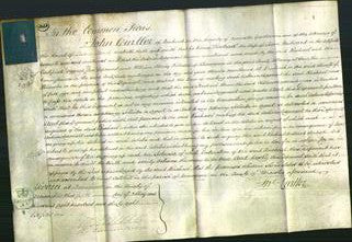 Court of Common Pleas - Rachael Milward-Original Ancestry