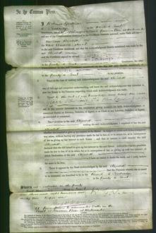 Court of Common Pleas - Elizabeth Tyhurst-Original Ancestry