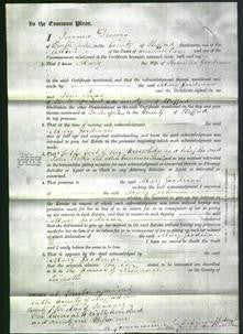 Court of Common Pleas - Mary Goodman-Original Ancestry